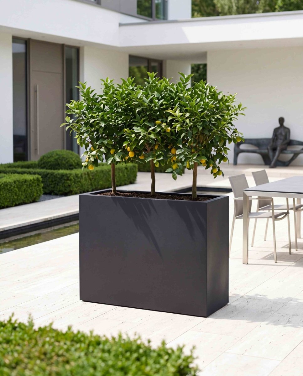 High Box | Pure Collection | Onyx Black - ESCHBACH