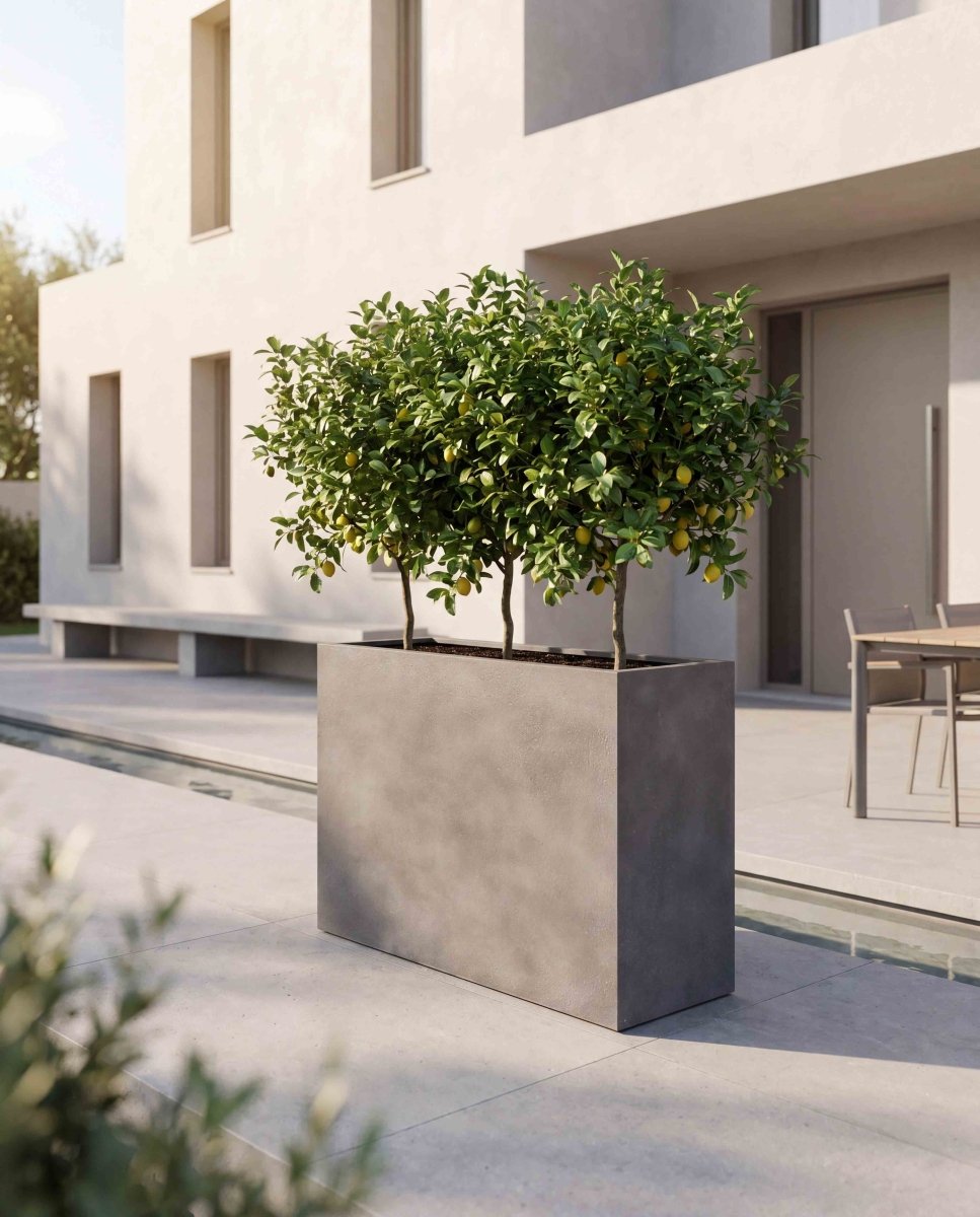 High Box | Loft Collection | Concrete Grey - ESCHBACH