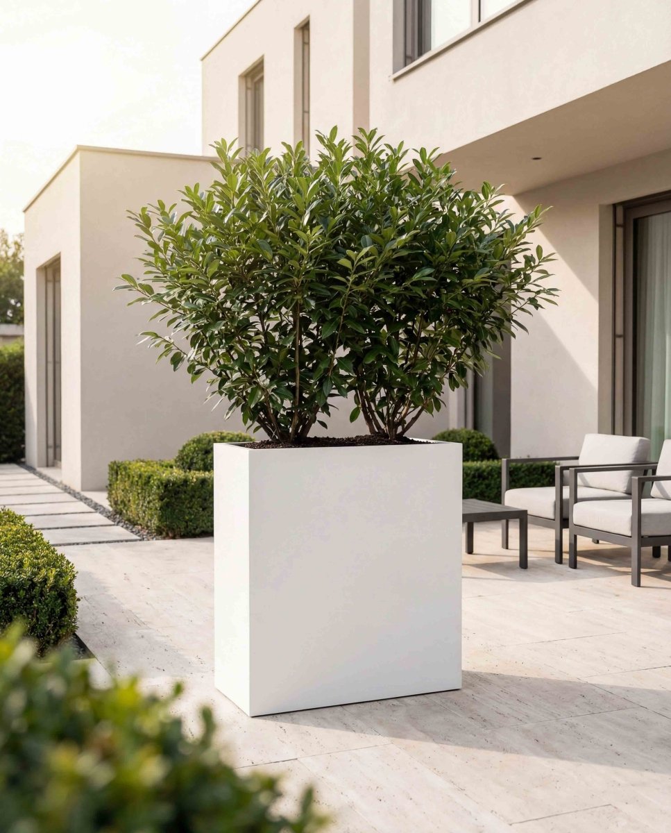 High Box | Pure Collection | Santorin White - ESCHBACH