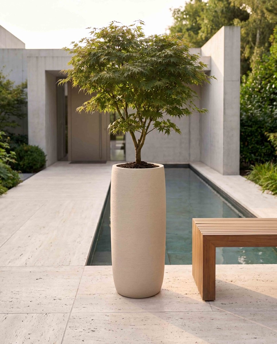 Long Barrel | Terra Collection | Champagne White - ESCHBACH
