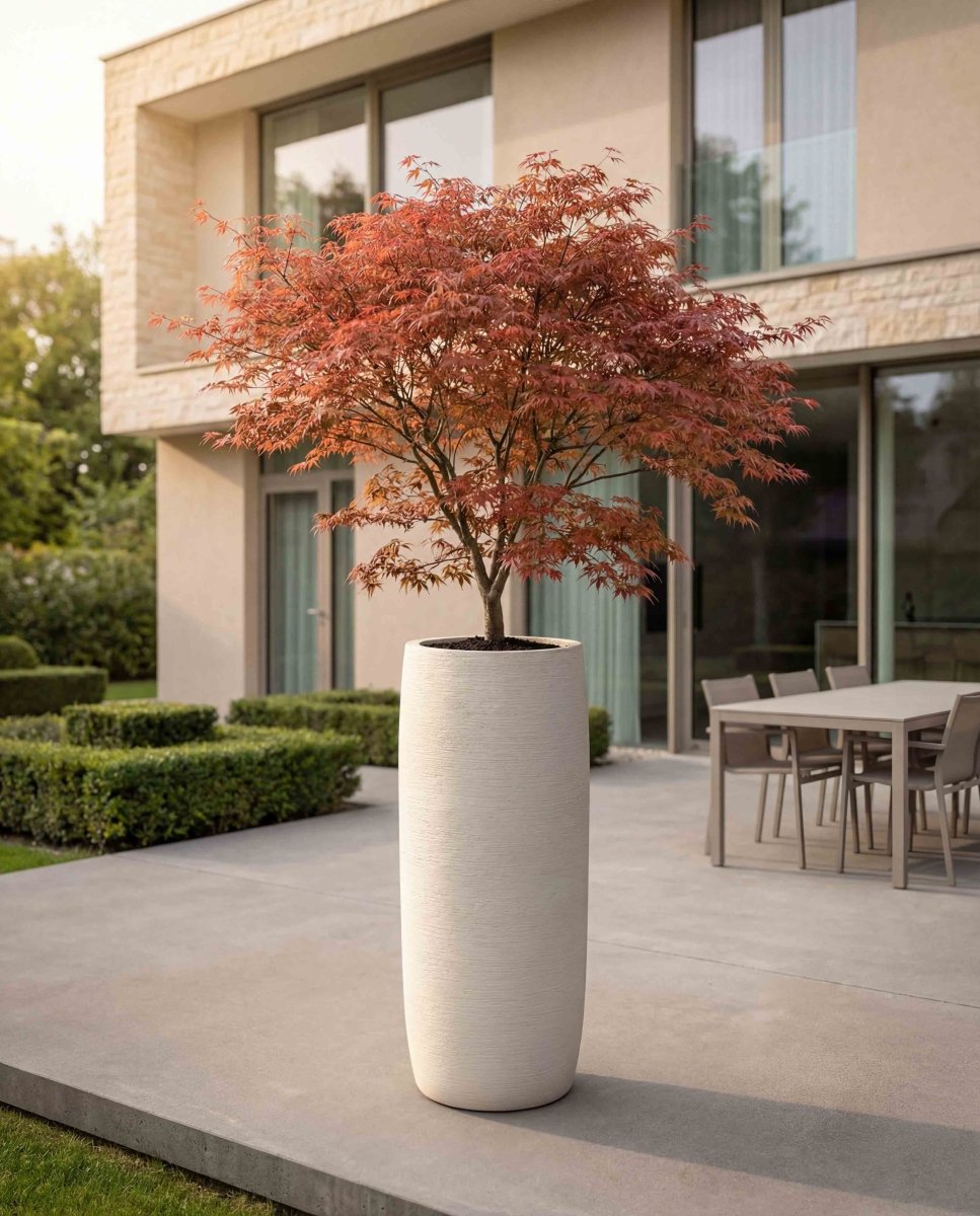Long Barrel | Terra Collection | Champagne White - ESCHBACH