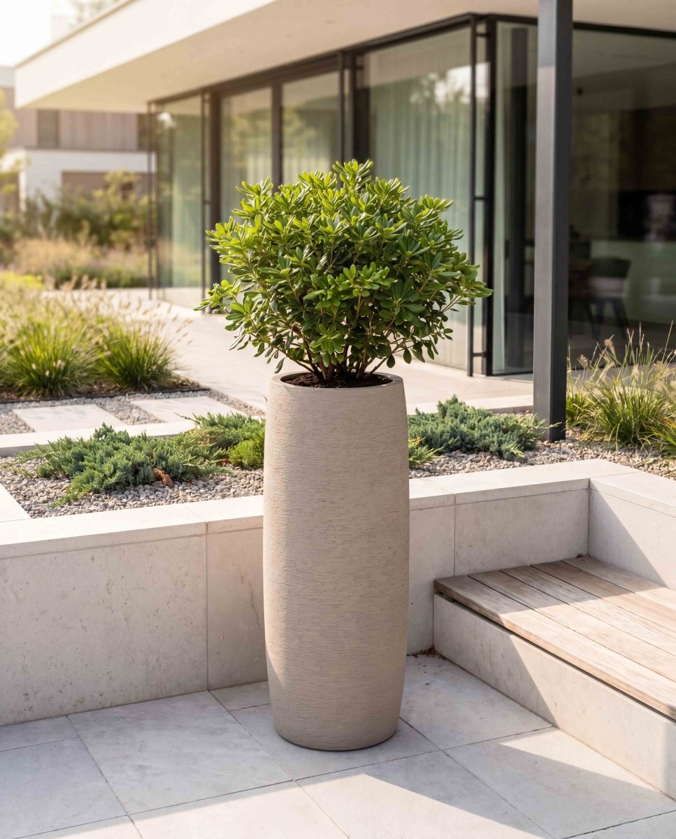 Long Barrel | Terra Collection | Desert Beige - ESCHBACH