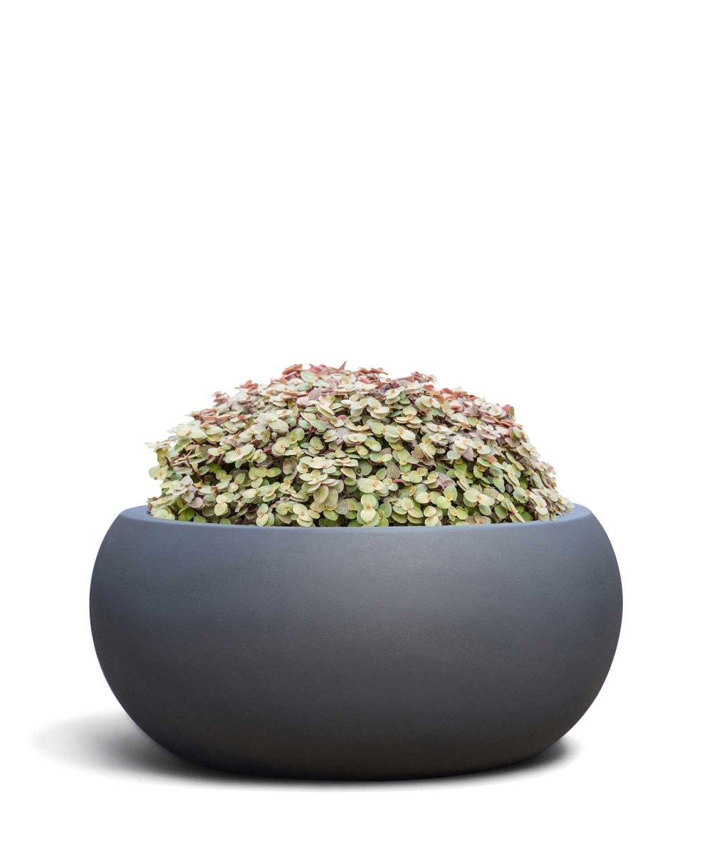 Low Balloon | Pure Collection | Onyx Black - ESCHBACH