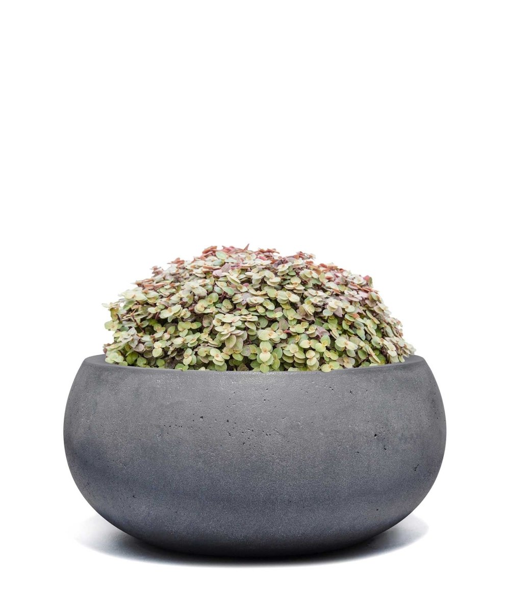 Low Balloon | Loft Collection | Lead Grey - ESCHBACH