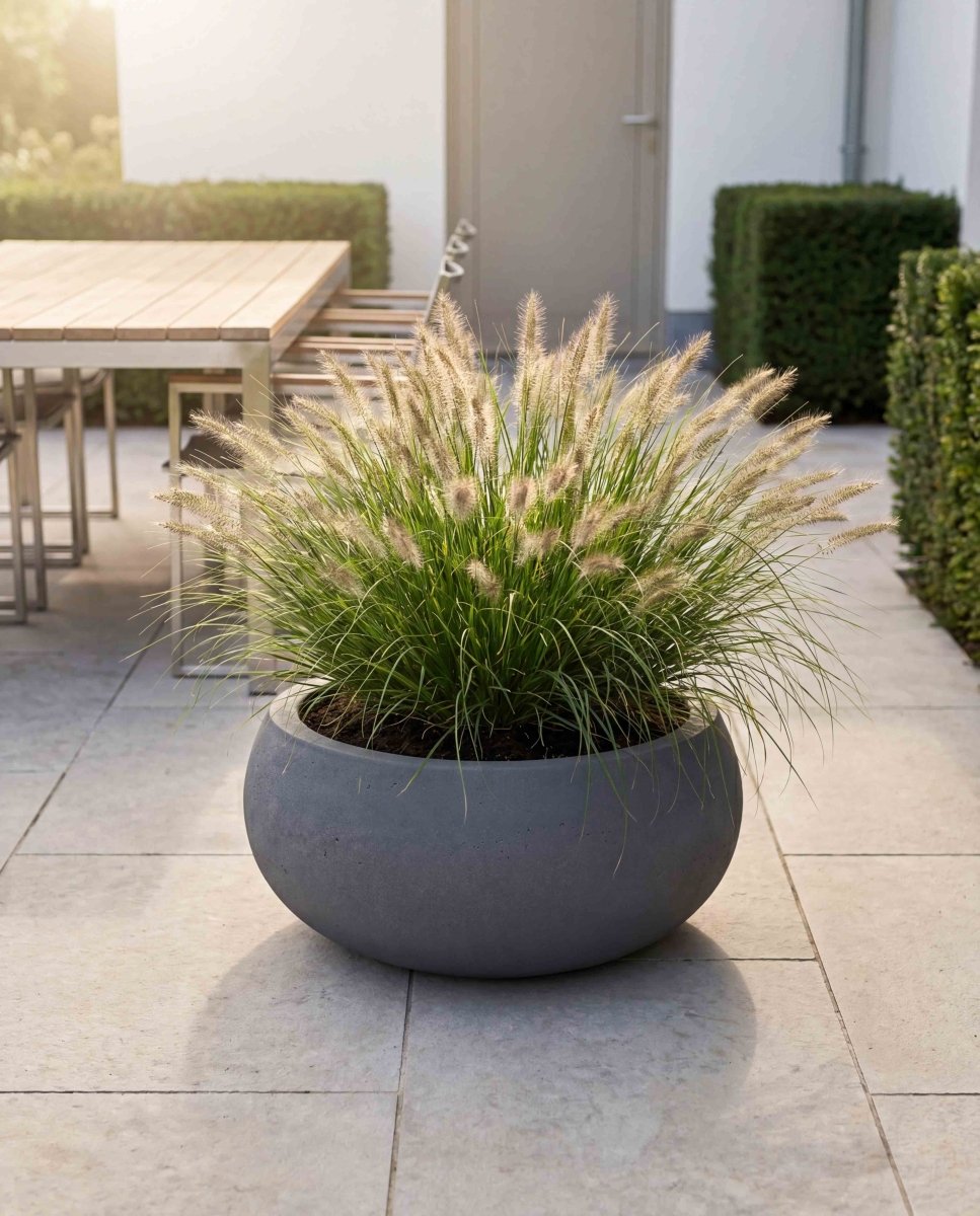 Low Balloon | Loft Collection | Lead Grey - ESCHBACH