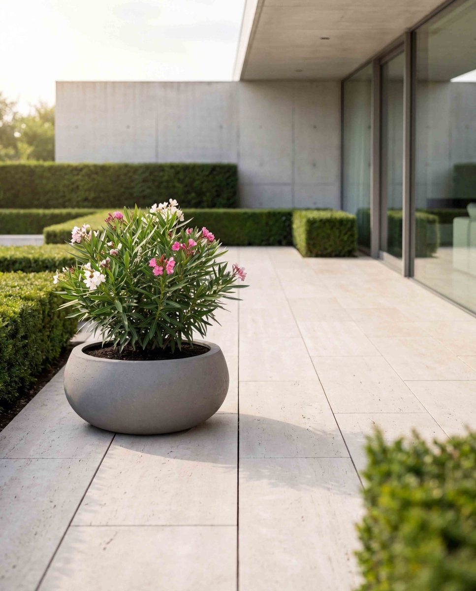 Low Balloon | Loft Collection | Concrete Grey - ESCHBACH