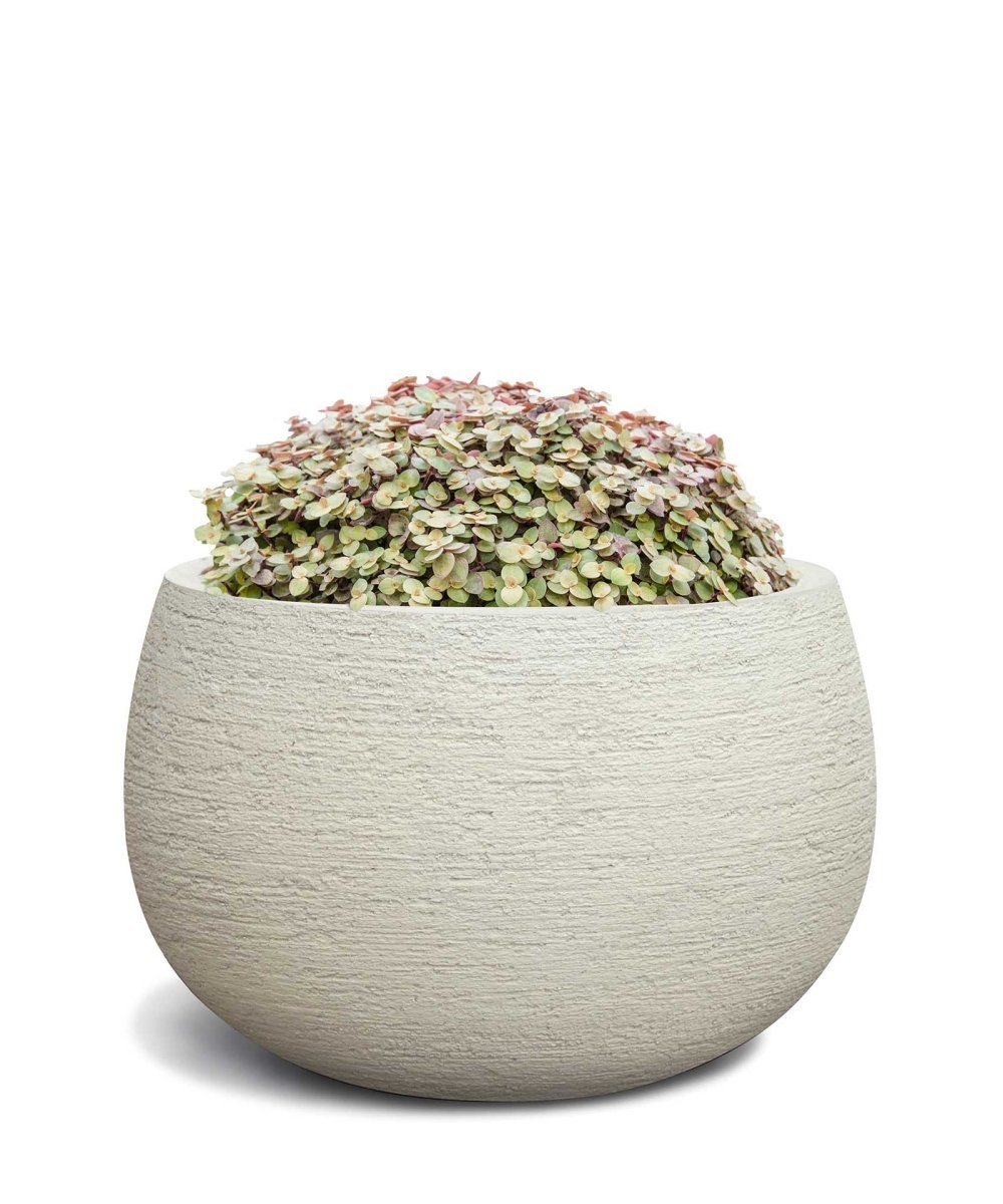 Balloon | Terra Collection | Champagne White - ESCHBACH