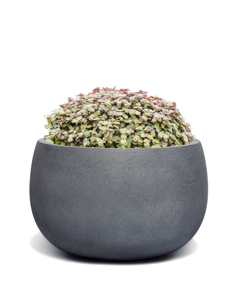 Balloon | Loft Collection | Lead Grey - ESCHBACH