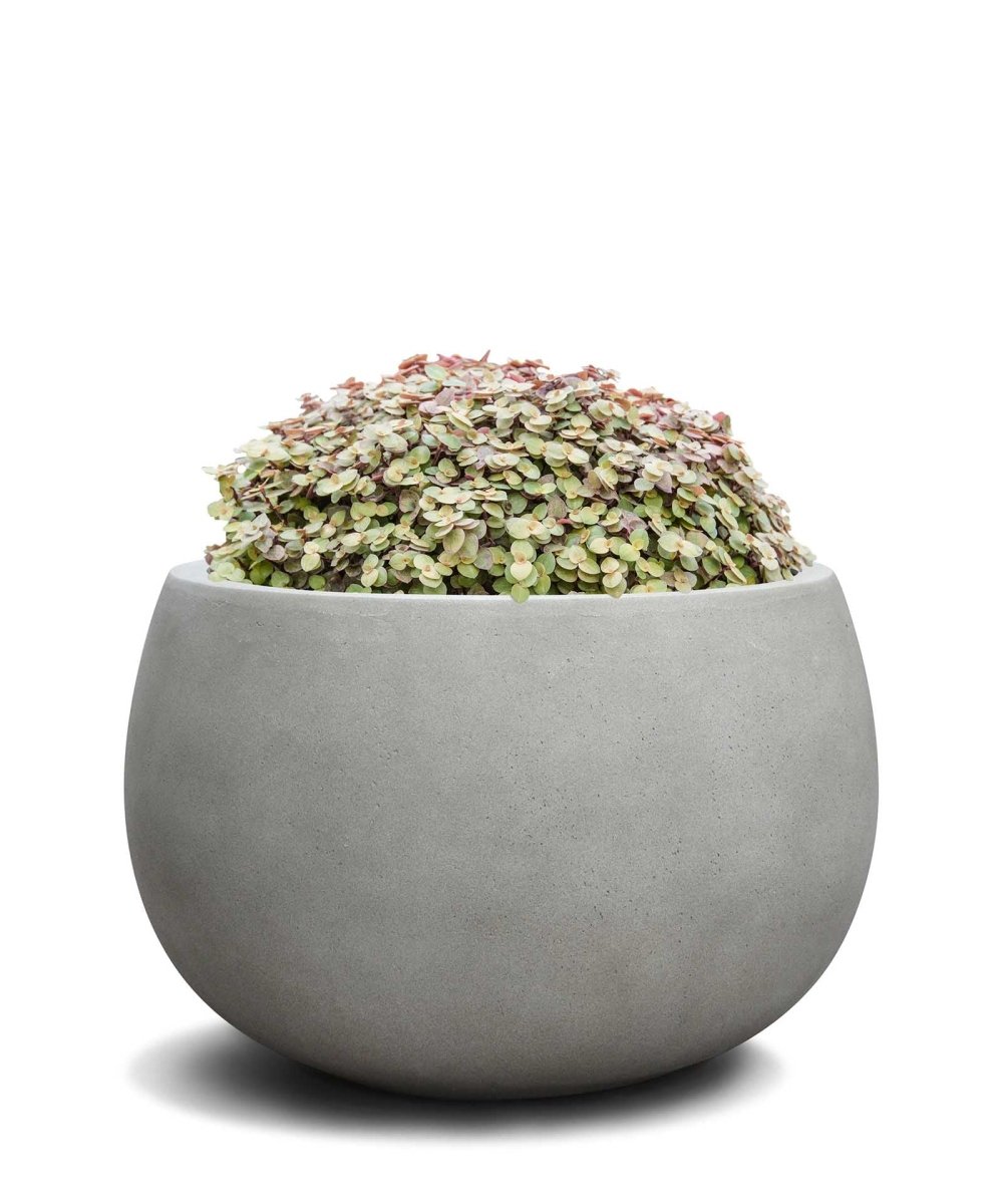 Balloon | Loft Collection | Light Grey - ESCHBACH