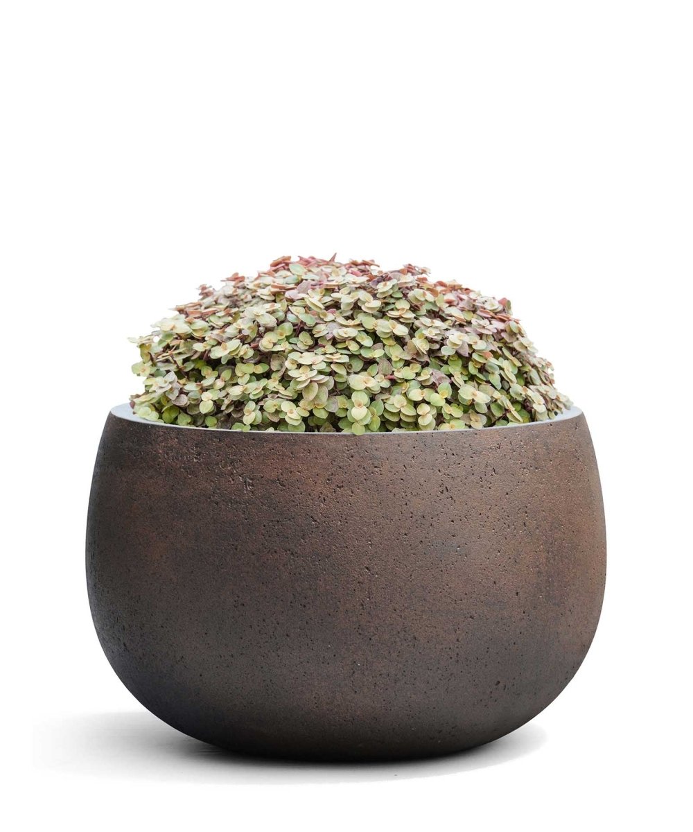 Balloon | Loft Collection | Rust Brown - ESCHBACH