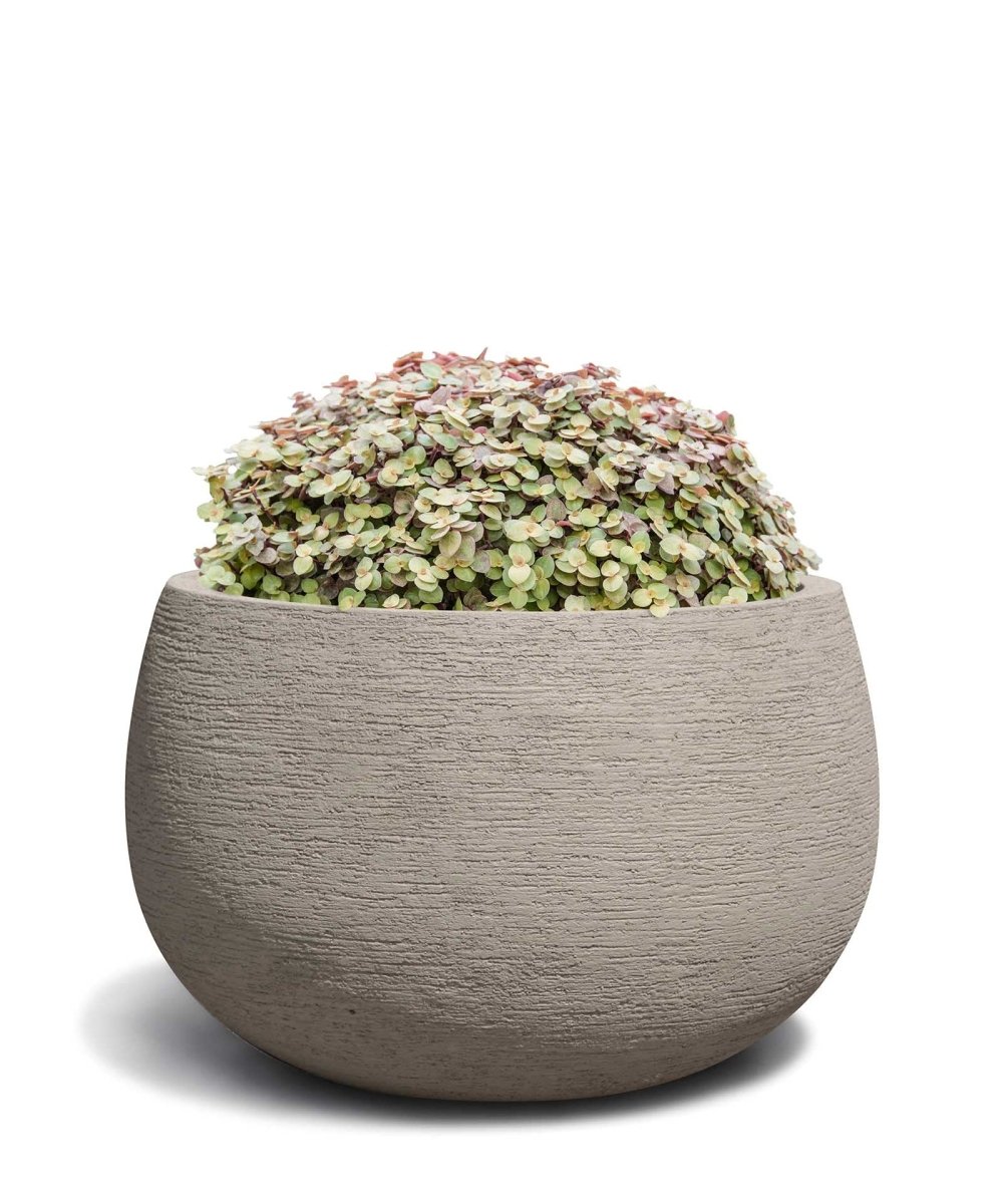 Balloon | Terra Collection | Desert Beige - ESCHBACH