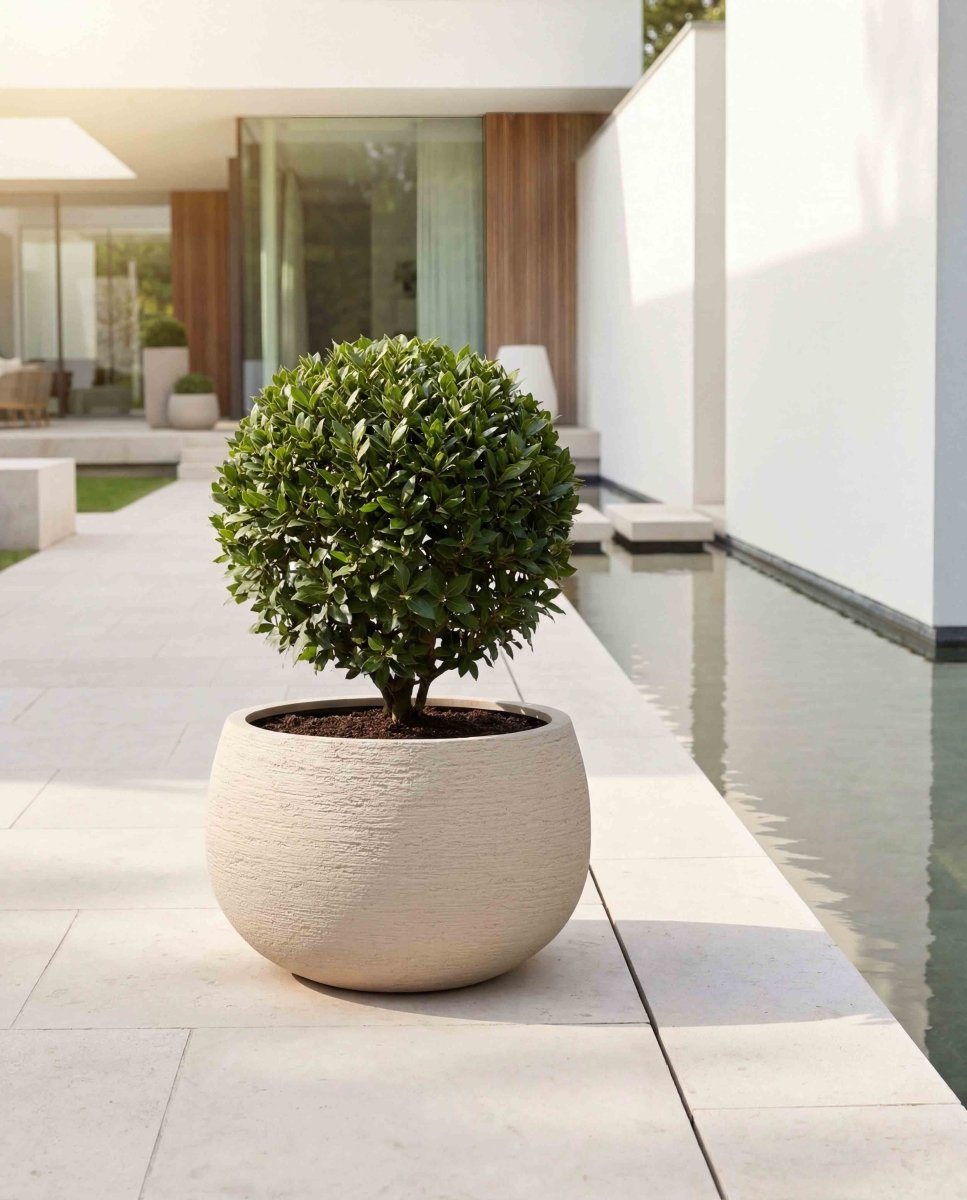 Balloon | Terra Collection | Champagne White - ESCHBACH