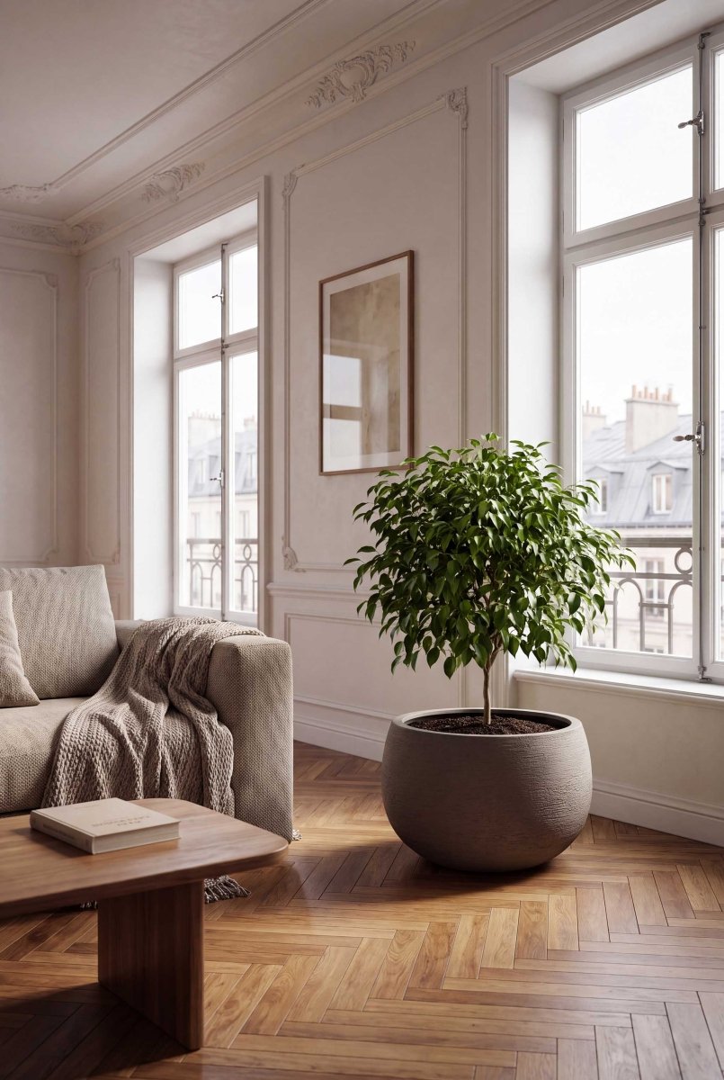 Balloon | Terra Collection | Macchiato Grey - ESCHBACH