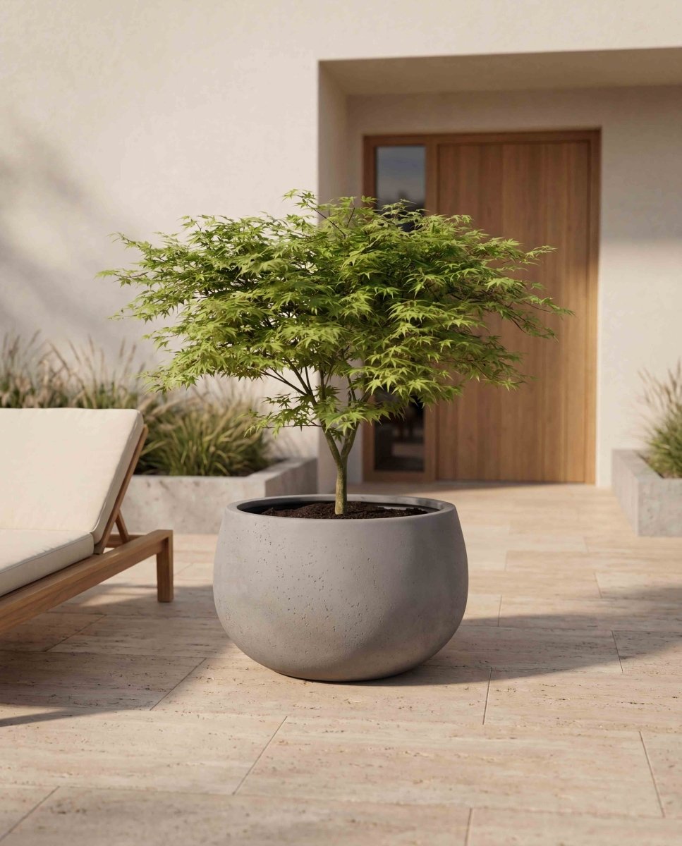 Balloon | Loft Collection | Concrete Grey - ESCHBACH