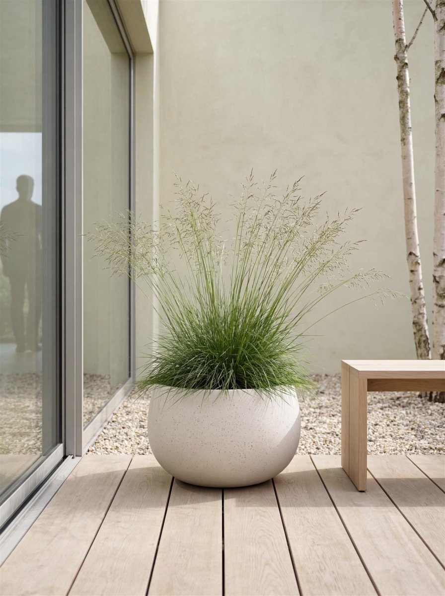 Balloon | Loft Collection | Off White - ESCHBACH