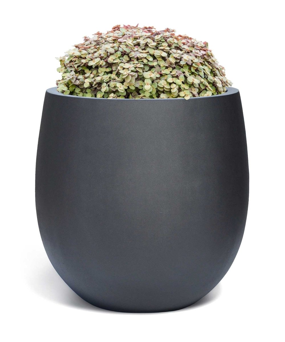 High Balloon | Pure Collection | Onyx Black - ESCHBACH