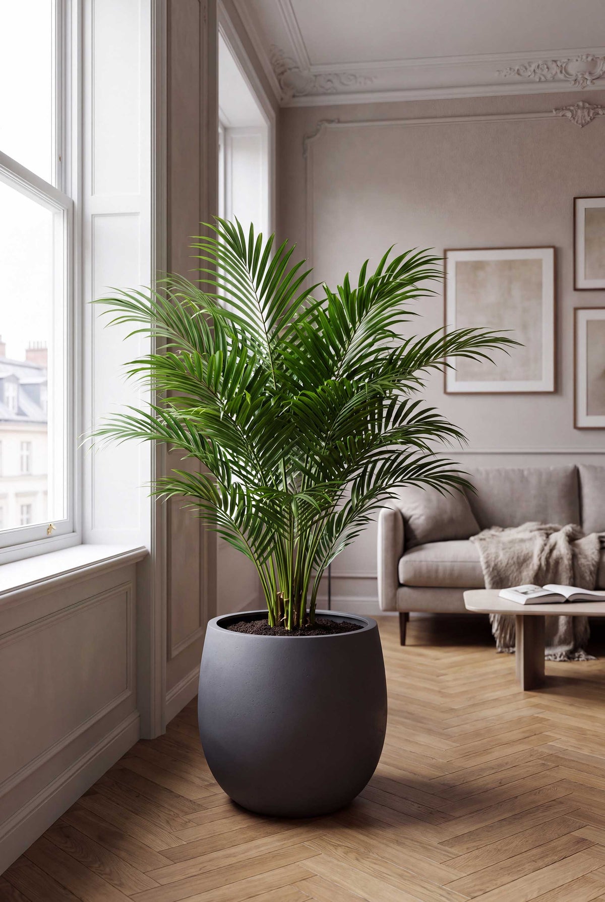 High Balloon | Loft Collection | Lead Grey