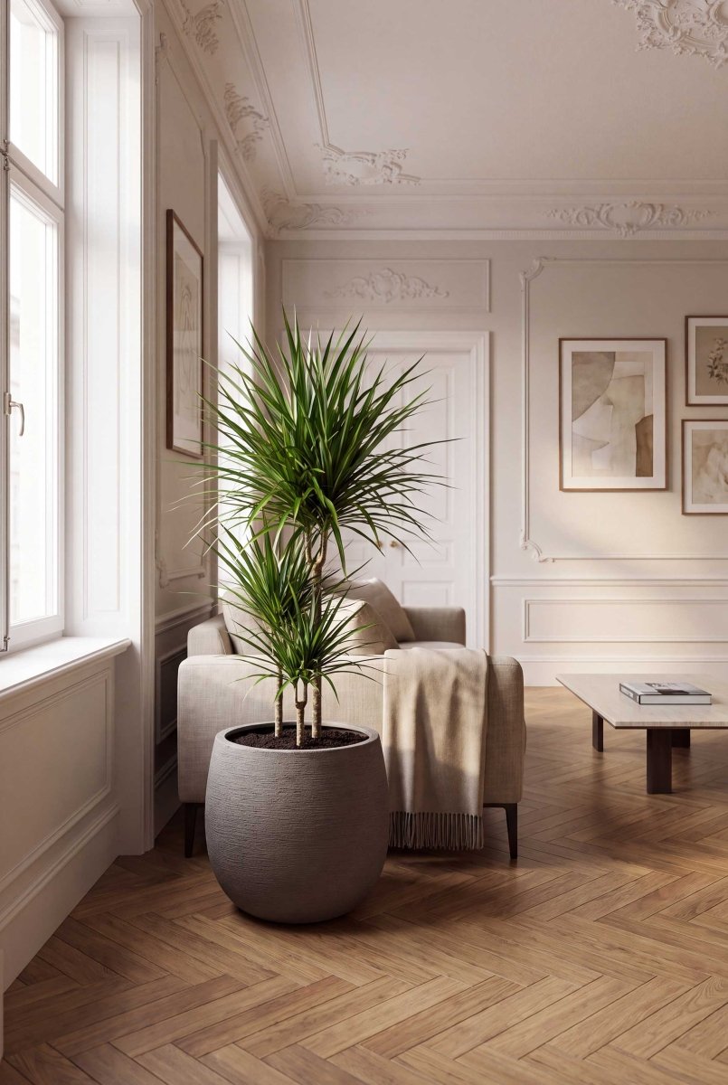 High Balloon | Terra Collection | Macchiato Grey - ESCHBACH