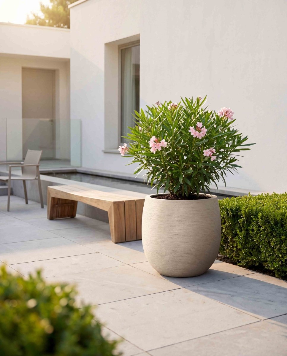 High Balloon | Terra Collection | Champagne White - ESCHBACH
