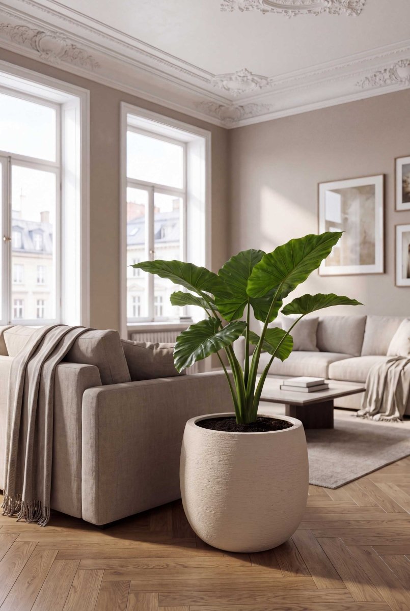 High Balloon | Terra Collection | Champagne White - ESCHBACH