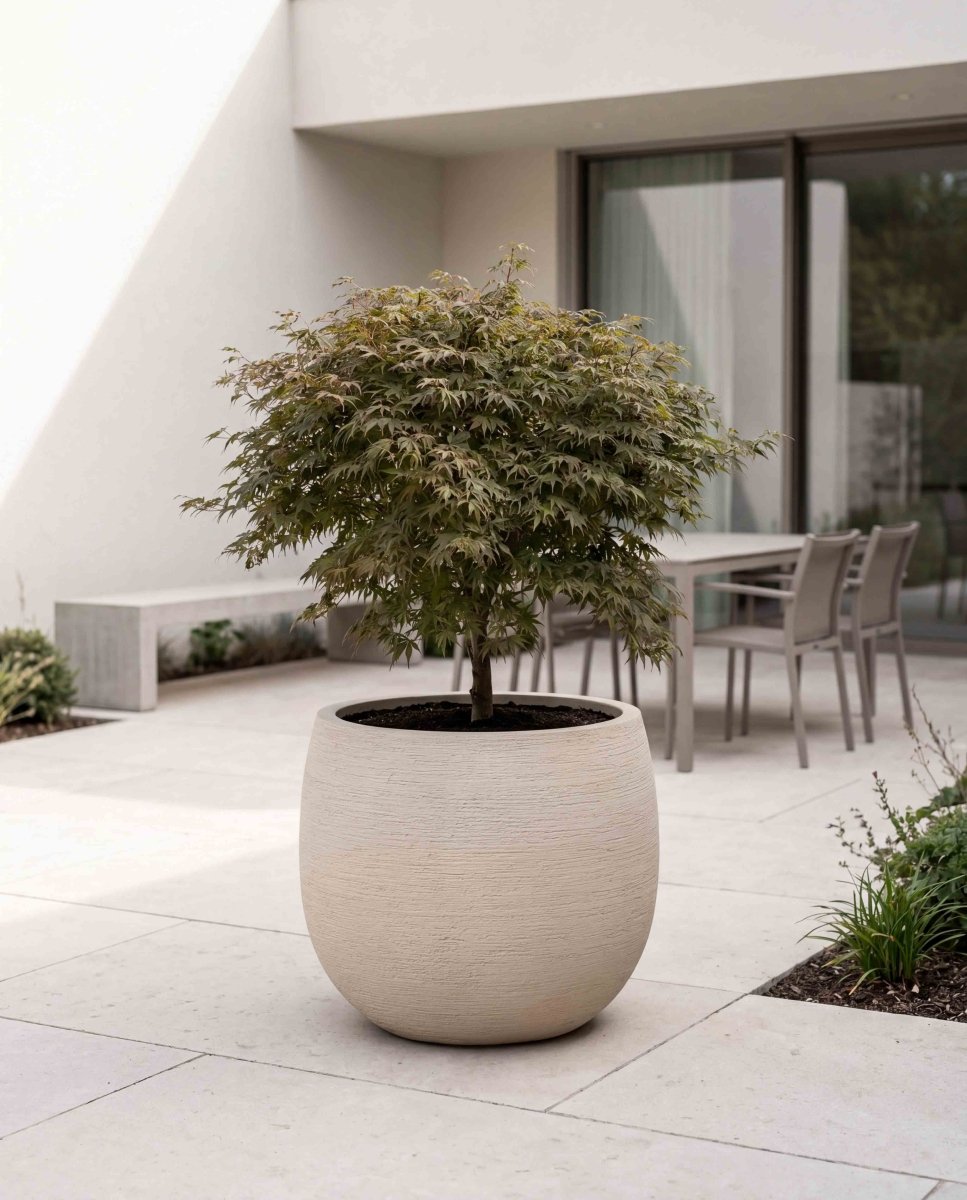 High Balloon | Terra Collection | Champagne White - ESCHBACH