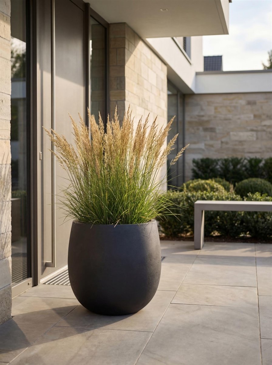 High Balloon | Loft Collection | Espresso Black