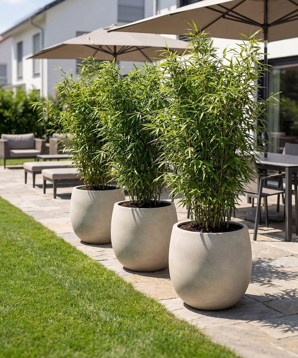 High Balloon | Loft Collection | Off White - ESCHBACH