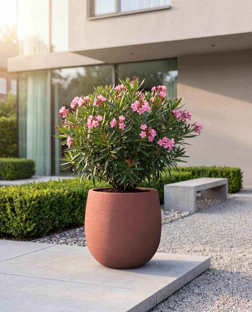 High Balloon | Terra Collection | Siena Red - ESCHBACH