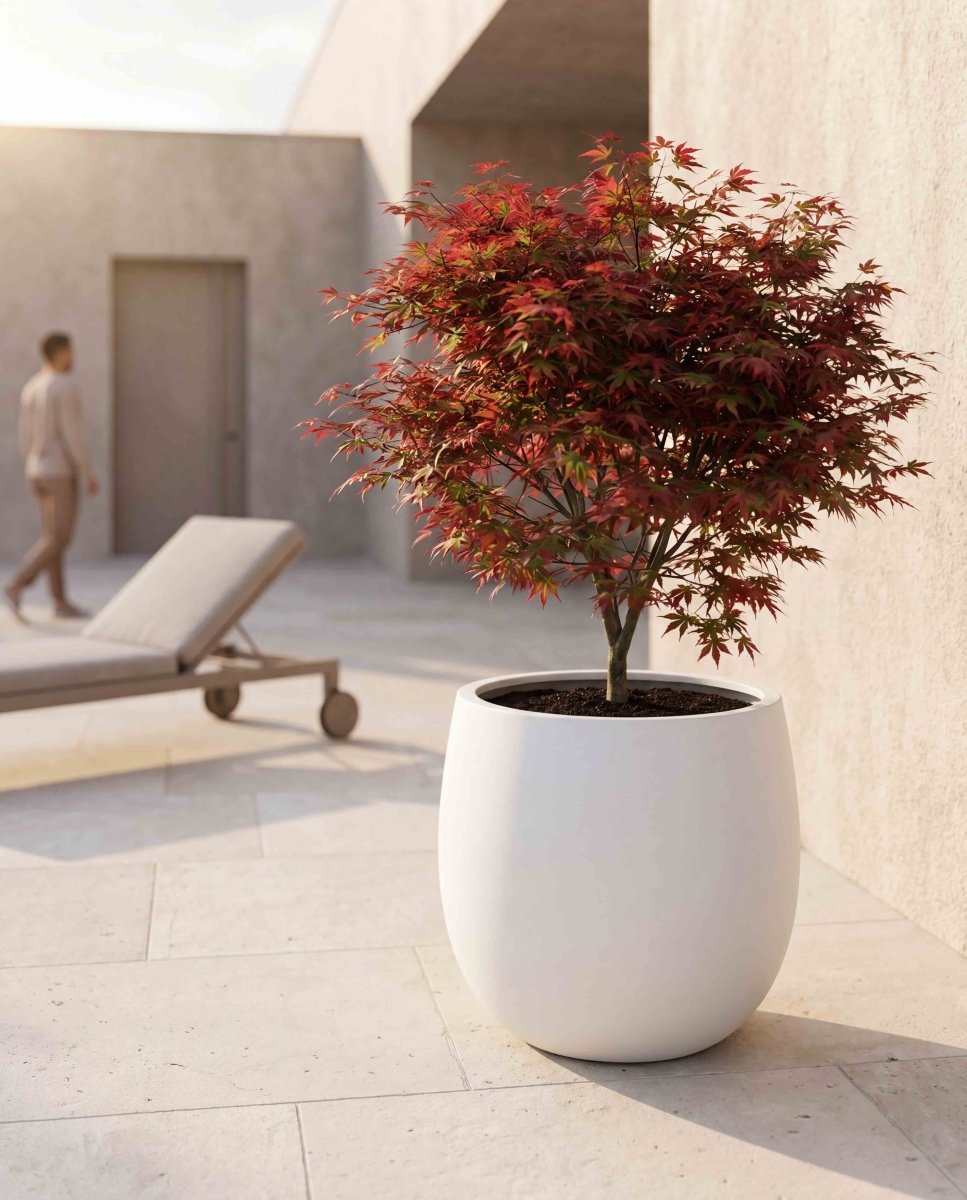 High Balloon | Pure Collection | Santorin White - ESCHBACH