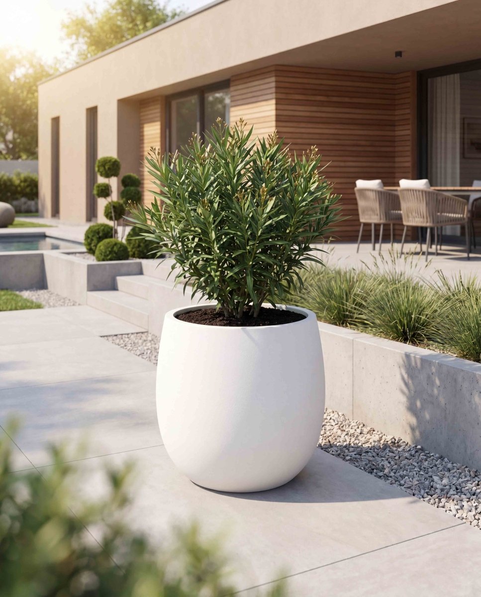 High Balloon | Pure Collection | Santorin White - ESCHBACH