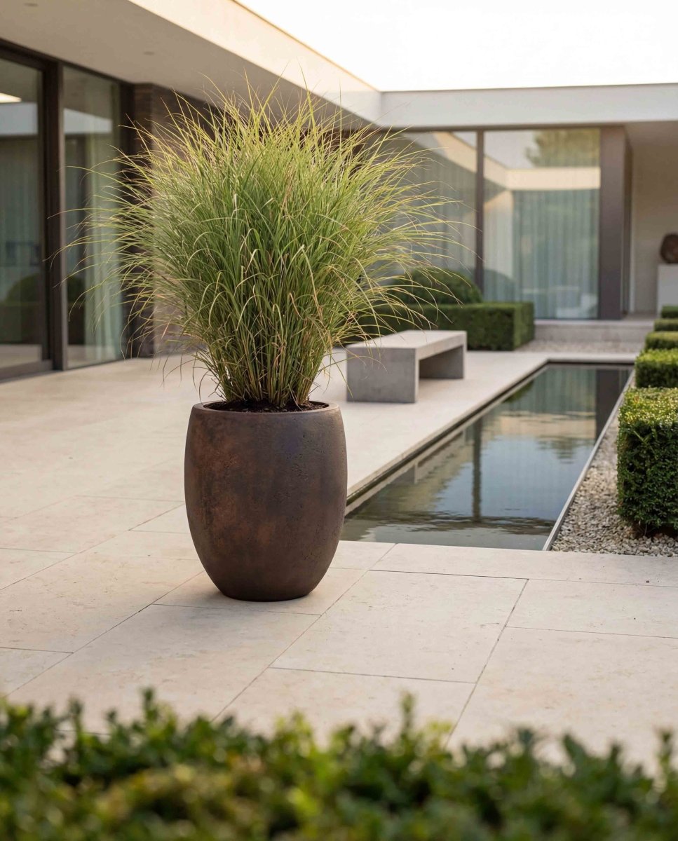 Tall Balloon | Loft Collection | Rust Brown - ESCHBACH