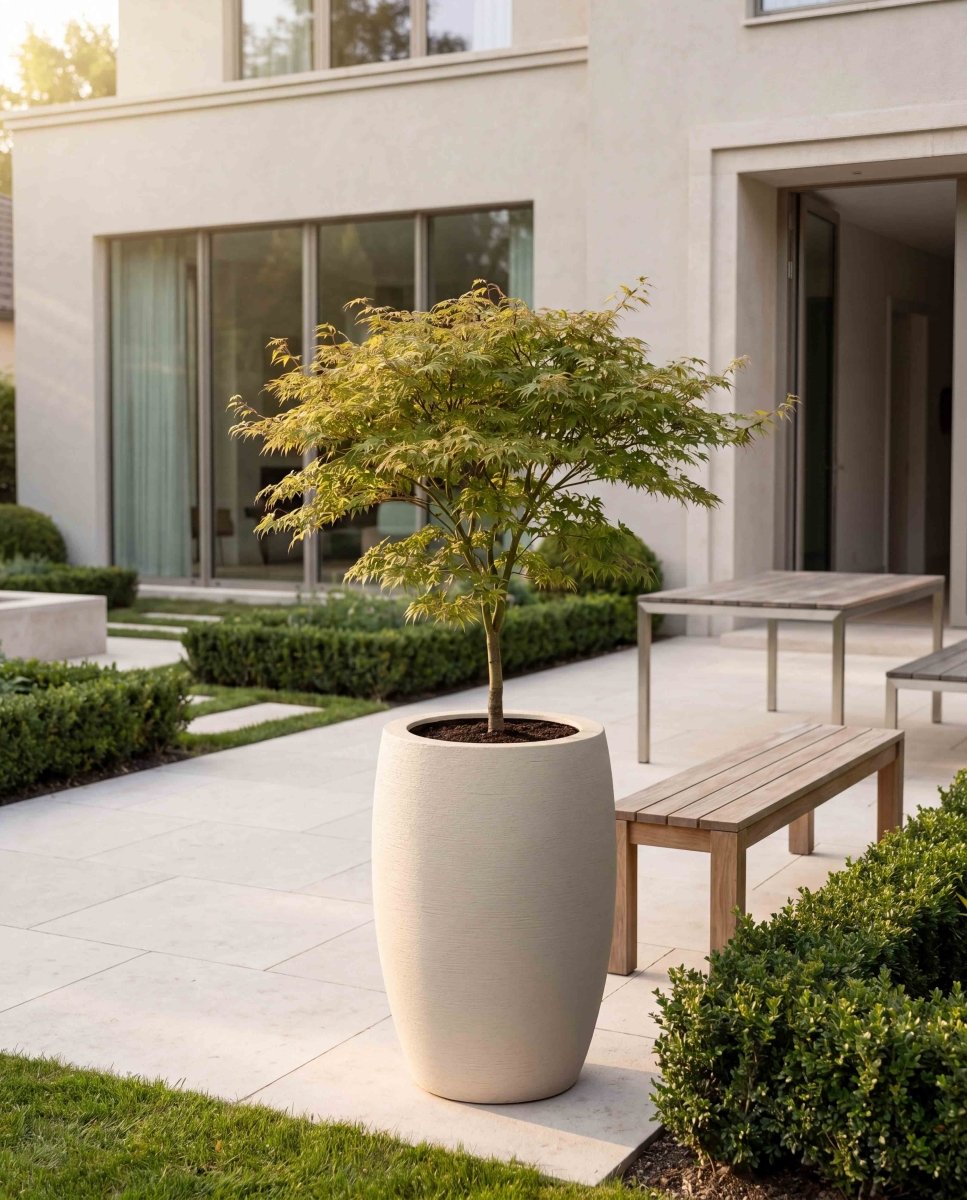 Long Balloon | Terra Collection | Champagne White - ESCHBACH