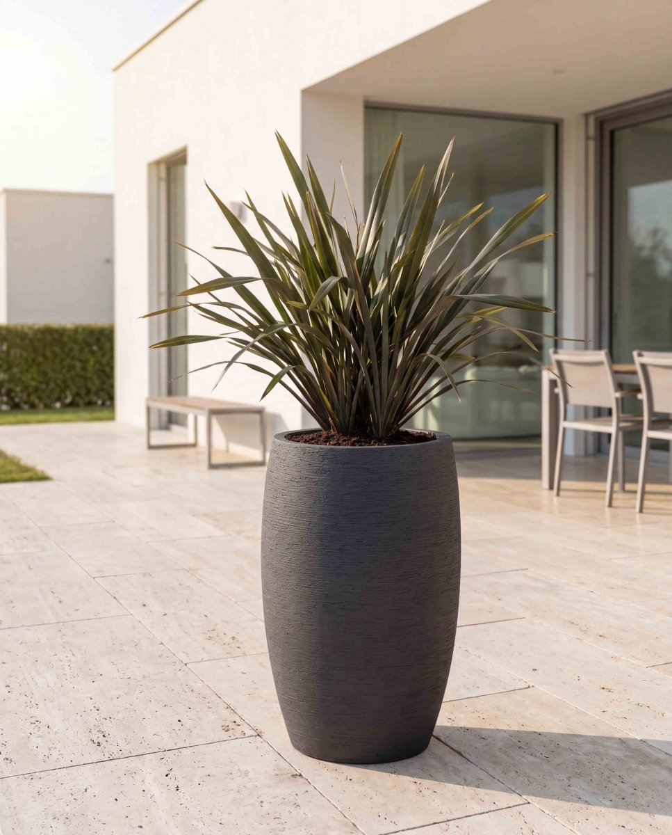 Long Balloon | Terra Collection | Black Sand - ESCHBACH