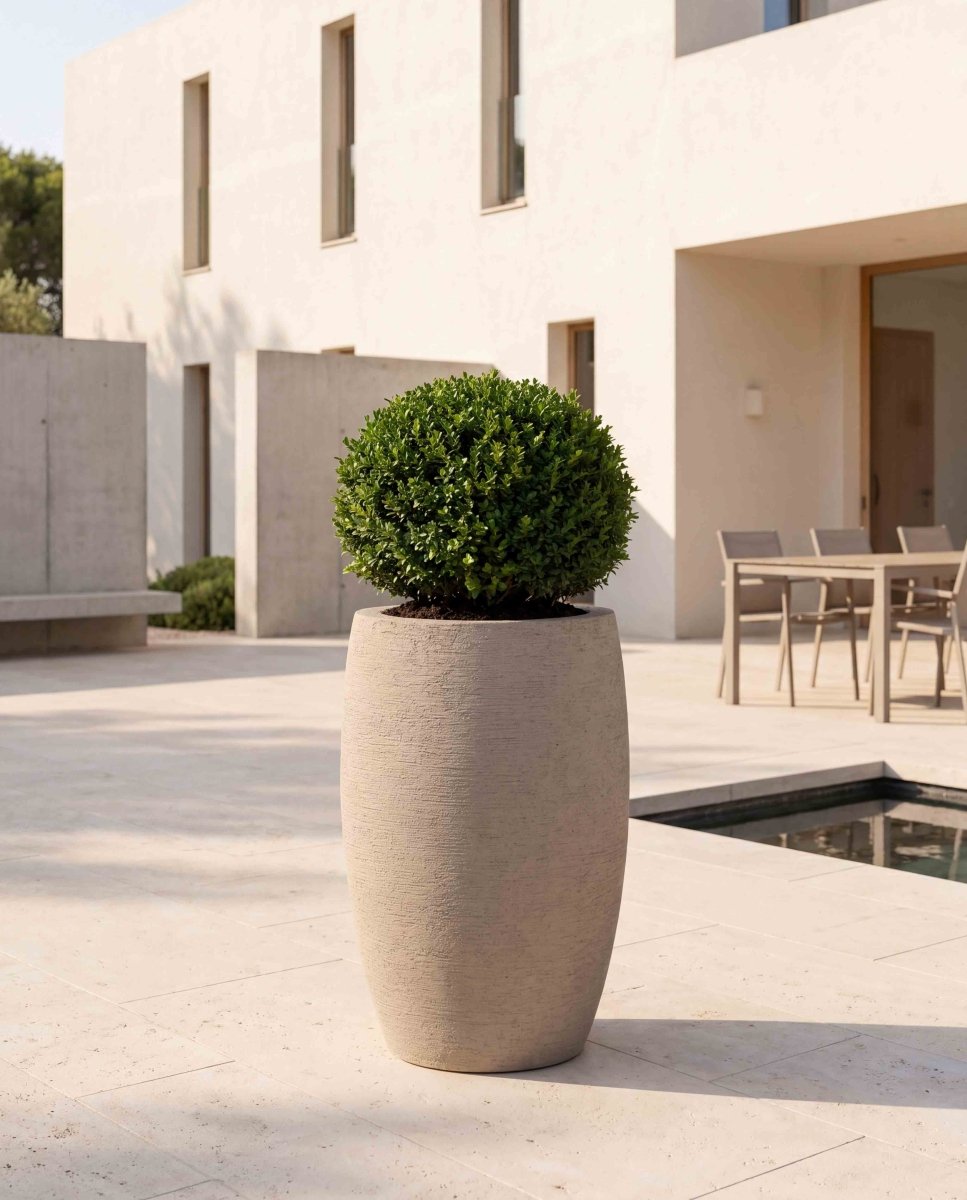 Long Balloon | Terra Collection | Desert Beige - ESCHBACH