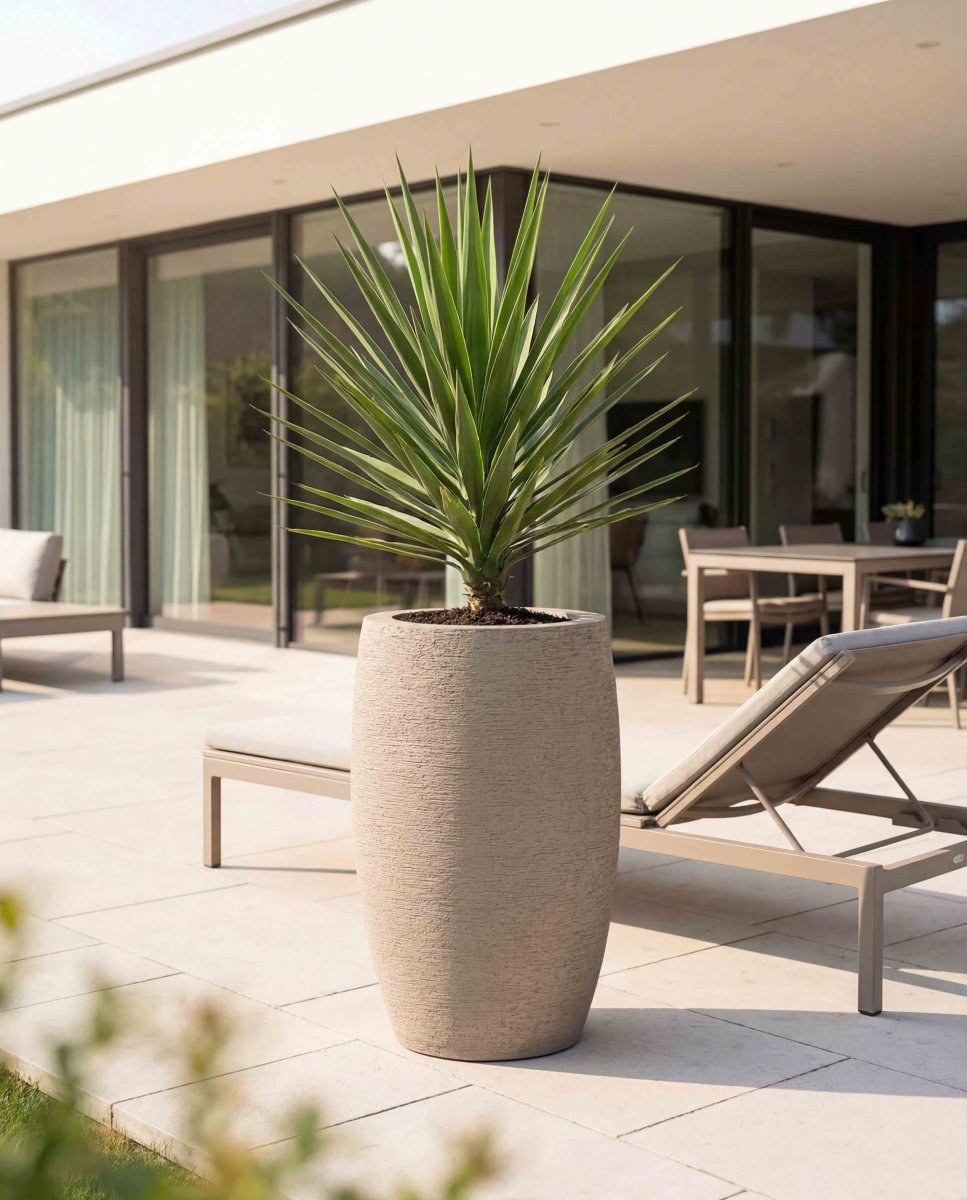 Long Balloon | Terra Collection | Desert Beige - ESCHBACH