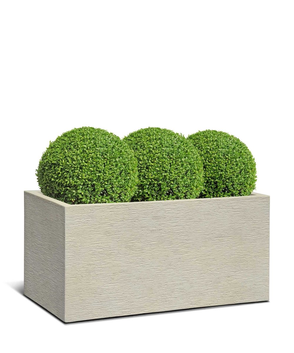 Box | Terra Collection | Champagne White - ESCHBACH