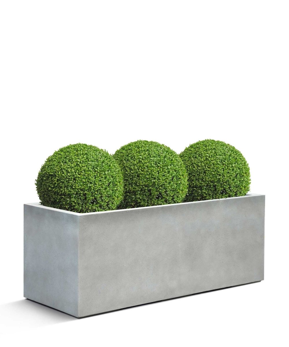 Box | Loft Collection | Light Grey - ESCHBACH