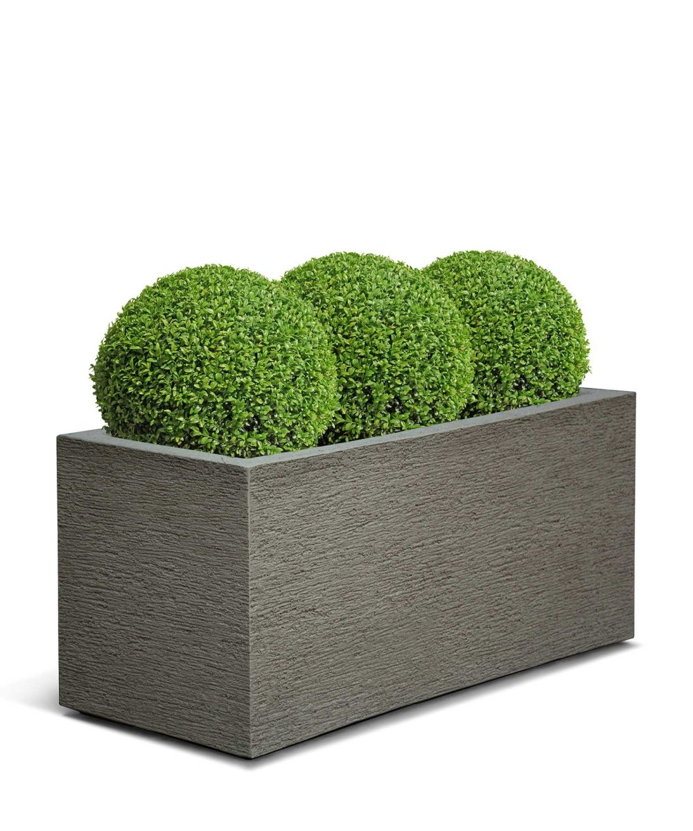 Box | Terra Collection | Macchiato Grey - ESCHBACH