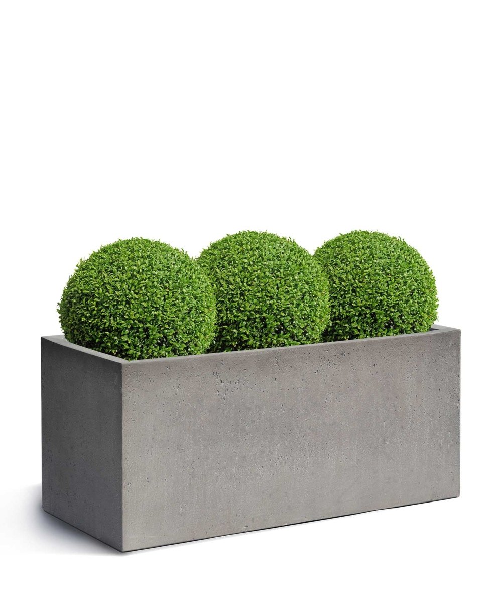Box | Loft Collection | Concrete Grey - ESCHBACH