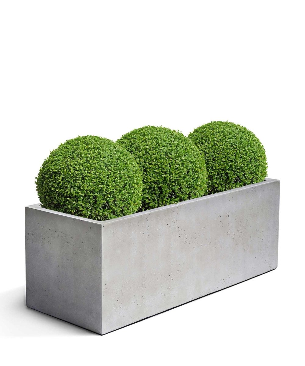 Box | Loft Collection | Off White - ESCHBACH