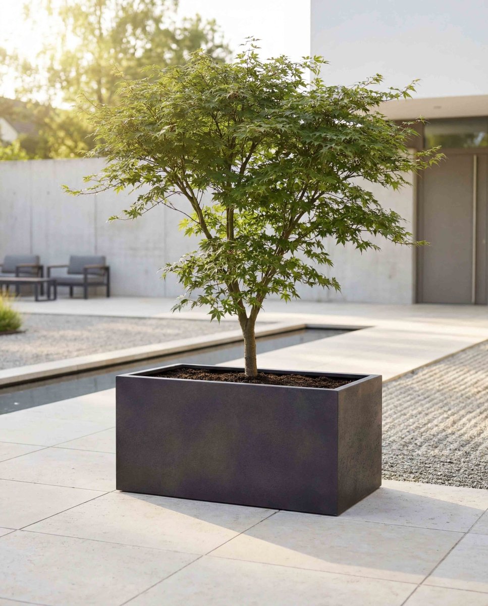 Box | Loft Collection | Espresso Black - ESCHBACH