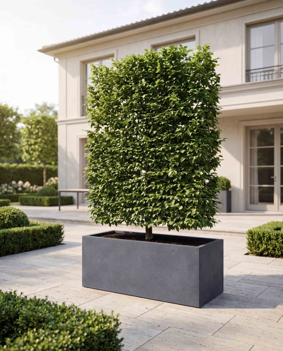 Box | Loft Collection | Lead Grey - ESCHBACH