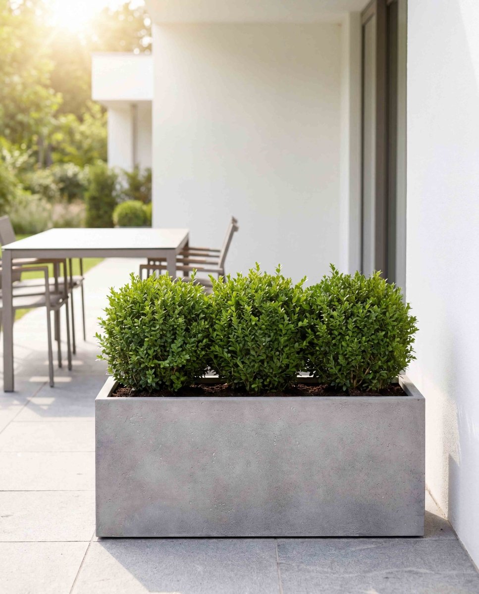 Box | Loft Collection | Light Grey - ESCHBACH