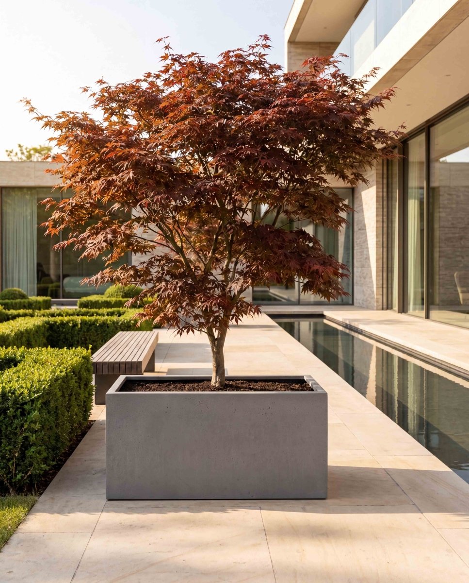 Box | Loft Collection | Concrete Grey - ESCHBACH