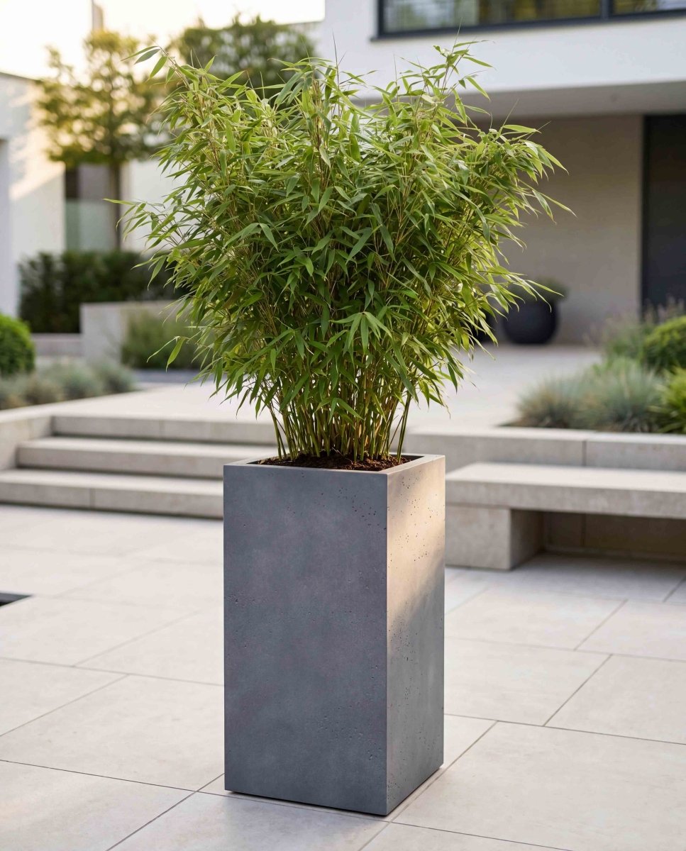 High Cube | Loft Collection | Lead Grey - ESCHBACH