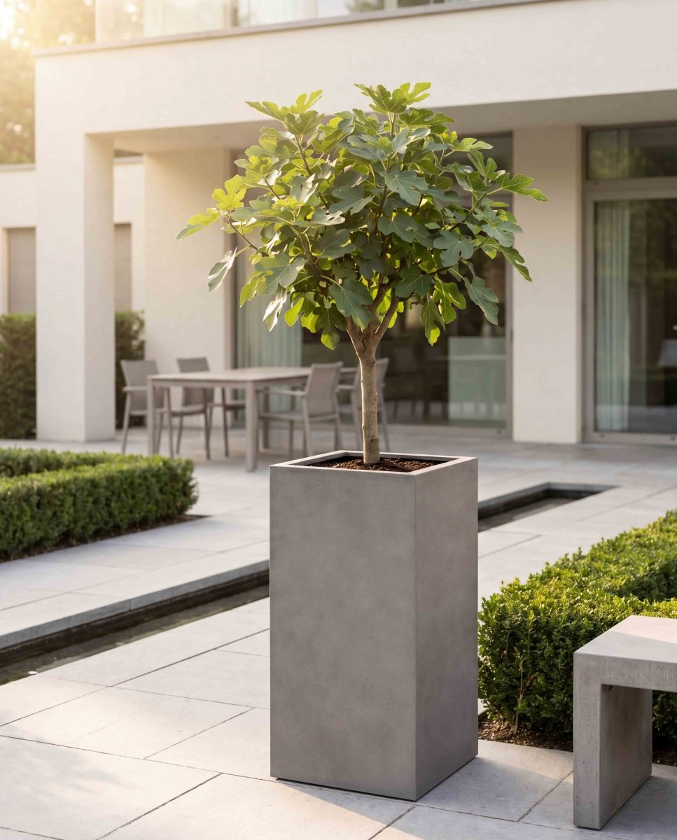 High Cube | Loft Collection | Concrete Grey - ESCHBACH
