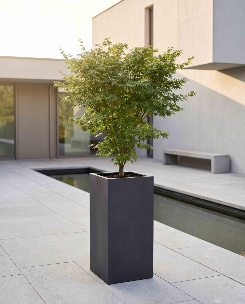 High Cube | Pure Collection | Onyx Black - ESCHBACH
