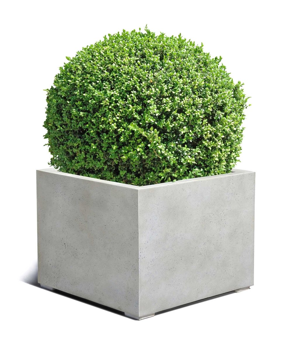 Low Cube | Loft Collection | Off White - ESCHBACH