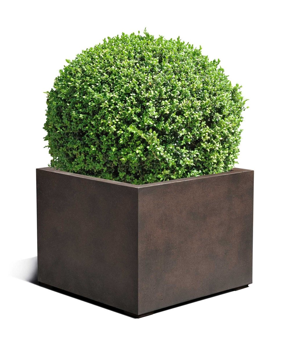 Low Cube | Loft Collection | Rust Brown - ESCHBACH