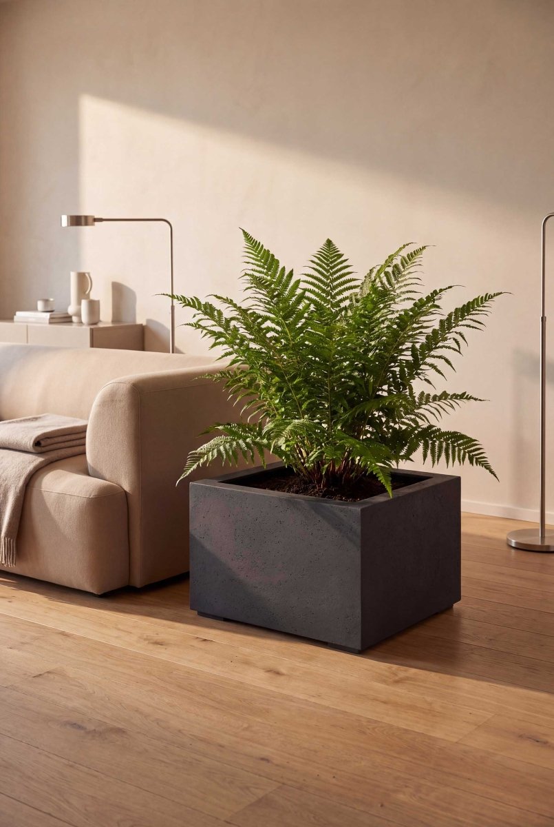 Low Cube | Loft Collection | Espresso Black - ESCHBACH
